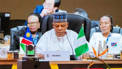 Shettima representing Tinubu at G20